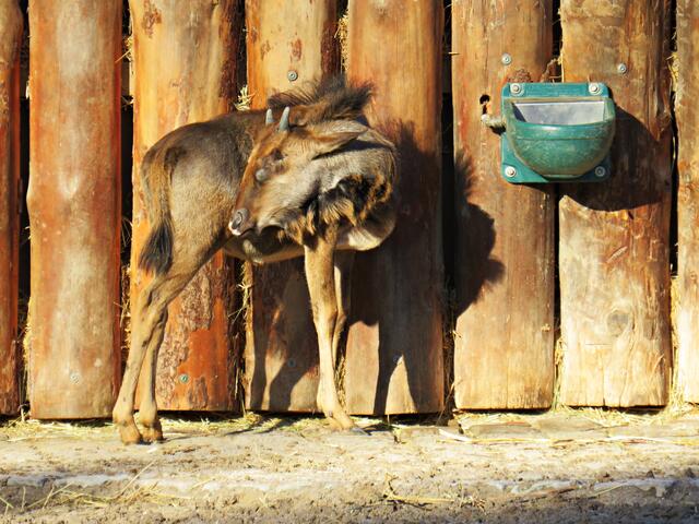 Foto: Brigitte Melder