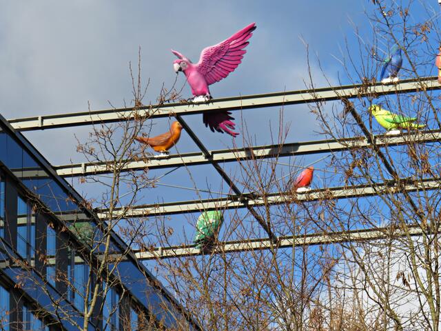Auf dem Nachbarhaus | Foto: Brigitte Melder