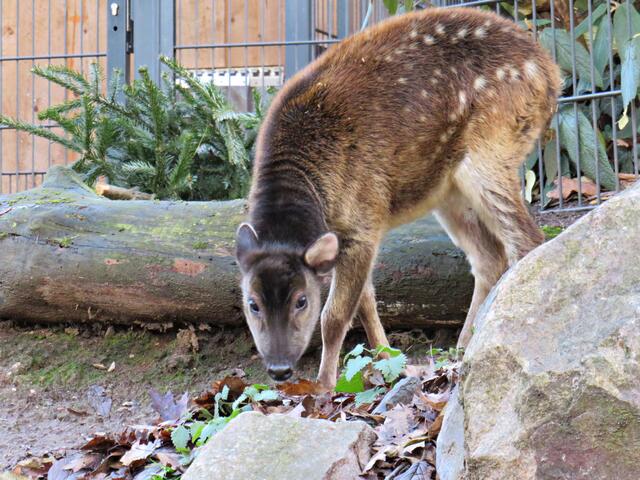 Foto: Brigitte Melder