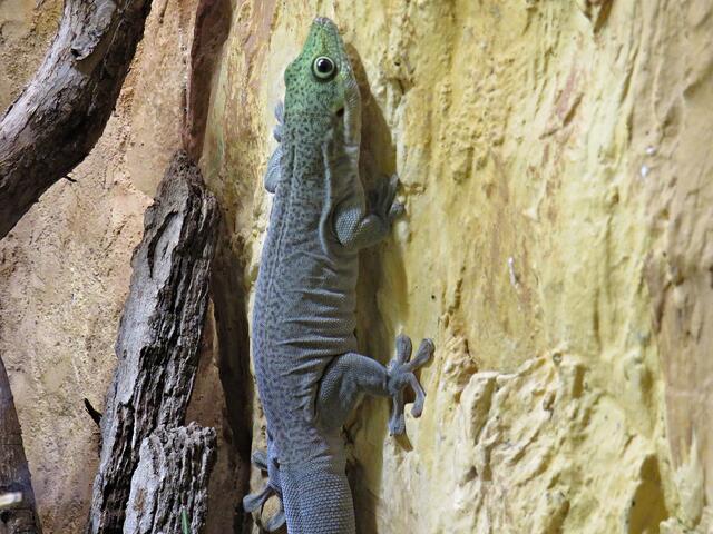 Foto: Brigitte Melder