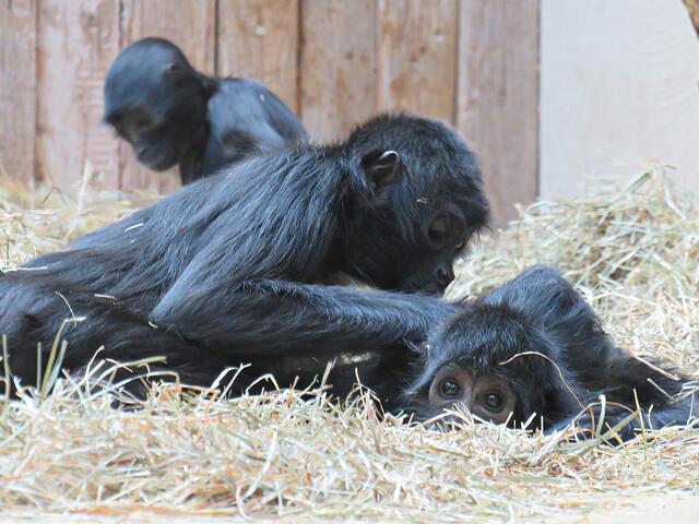 Foto: Brigitte Melder