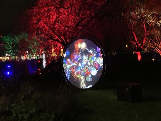 Die Winterlichter im Luisenpark finden vom 1. Januar bis 2. Februar 2025 statt. 

Update: Die Winterlichter im Luisenpark wurden um zwei Wochen bis zum Sonntag, 16. Februar 2025 verlängert.
 | Foto: Anouar Touir