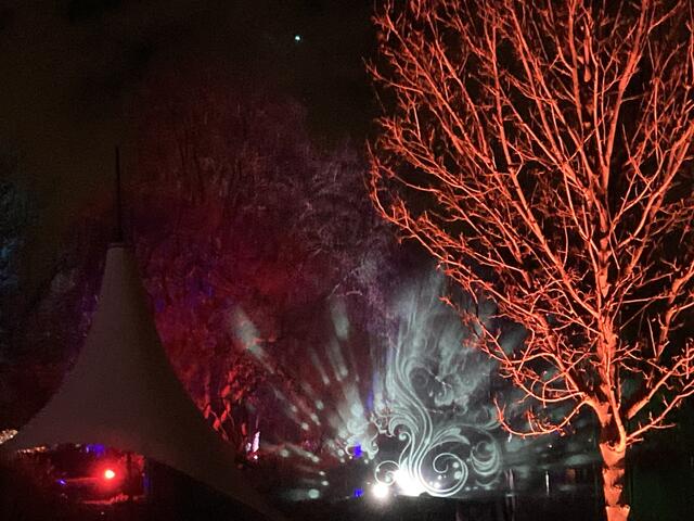 Die Winterlichter im Luisenpark finden vom 1. Januar bis 2. Februar 2025 statt. 

Update: Die Winterlichter im Luisenpark wurden um zwei Wochen bis zum Sonntag, 16. Februar 2025 verlängert.
 | Foto: Anouar Touir