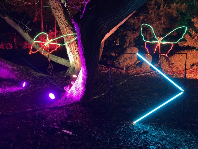 Die Winterlichter im Luisenpark finden vom 1. Januar bis 2. Februar 2025 statt. 

Update: Die Winterlichter im Luisenpark wurden um zwei Wochen bis zum Sonntag, 16. Februar 2025 verlängert.
 | Foto: Anouar Touir