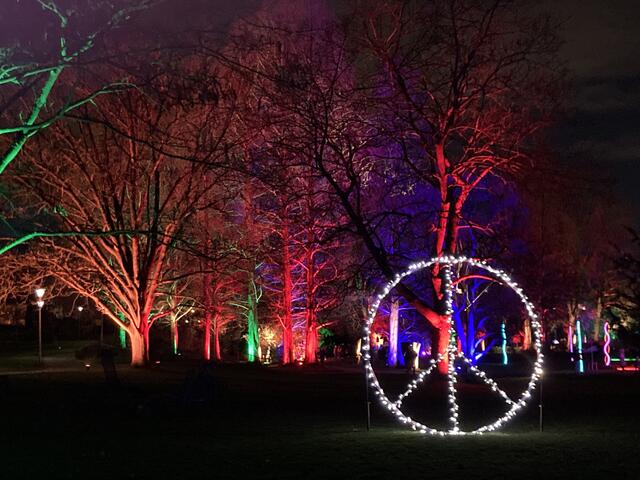 Die Winterlichter im Luisenpark finden vom 1. Januar bis 2. Februar 2025 statt. 

Update: Die Winterlichter im Luisenpark wurden um zwei Wochen bis zum Sonntag, 16. Februar 2025 verlängert.
 | Foto: Anouar Touir