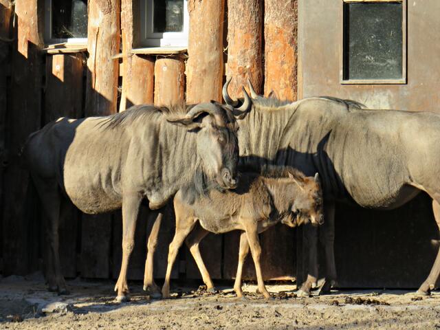 Foto: Brigitte Melder