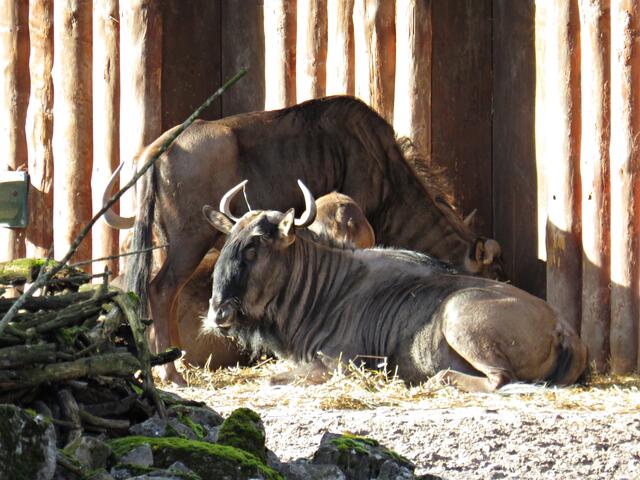 Foto: Brigitte Melder