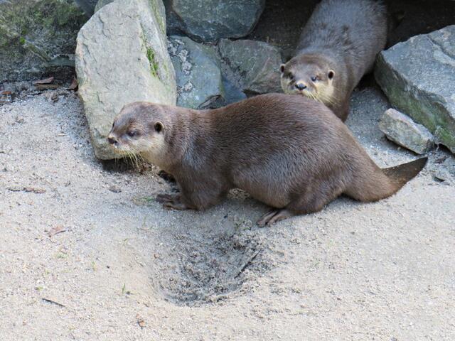 Foto: Brigitte Melder