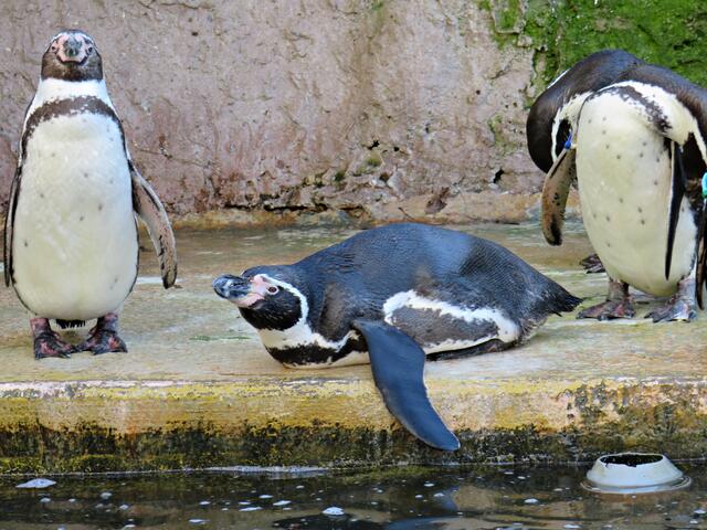 Foto: Brigitte Melder