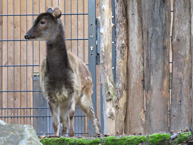 Foto: Brigitte Melder