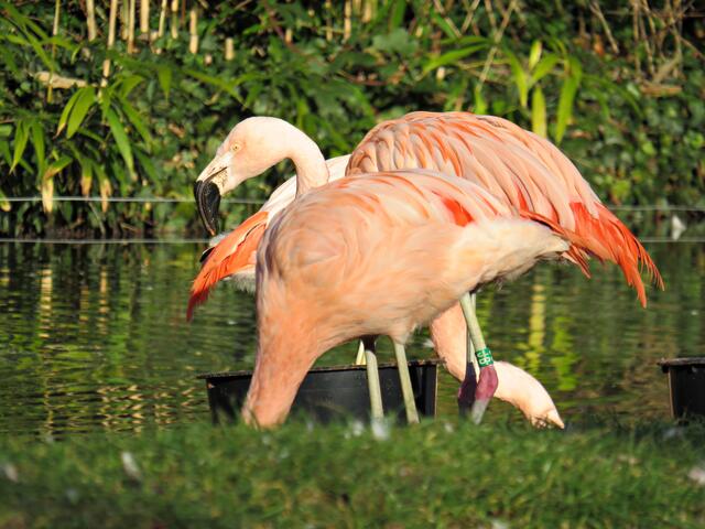 Foto: Brigitte Melder