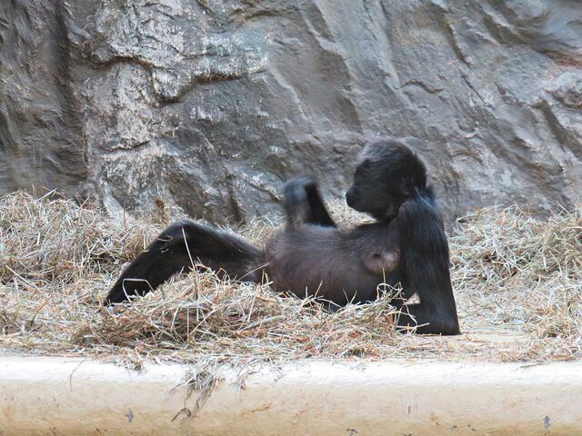 Foto: Brigitte Melder