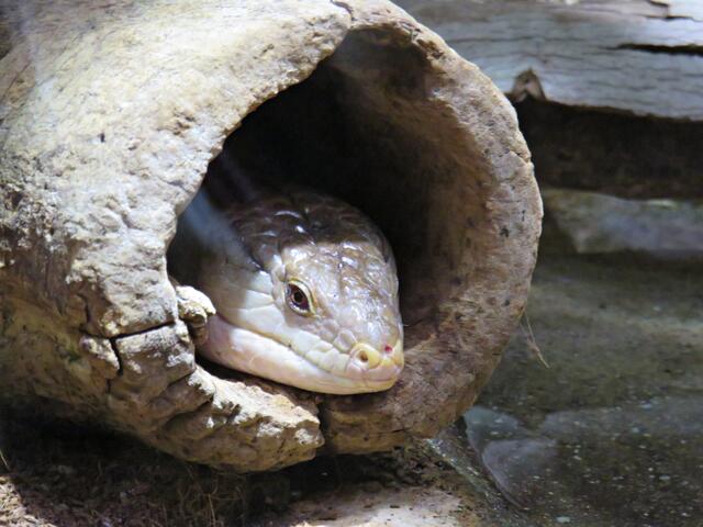 Foto: Brigitte Melder