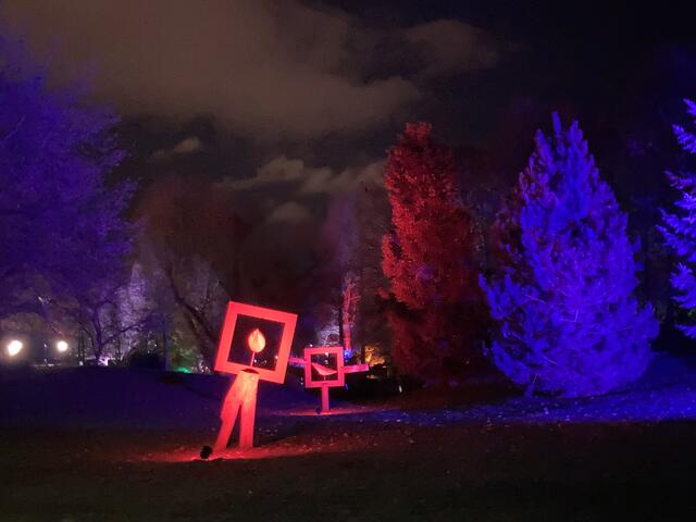 Die Winterlichter im Luisenpark finden vom 1. Januar bis 2. Februar 2025 statt. 

Update: Die Winterlichter im Luisenpark wurden um zwei Wochen bis zum Sonntag, 16. Februar 2025 verlängert.
 | Foto: Anouar Touir