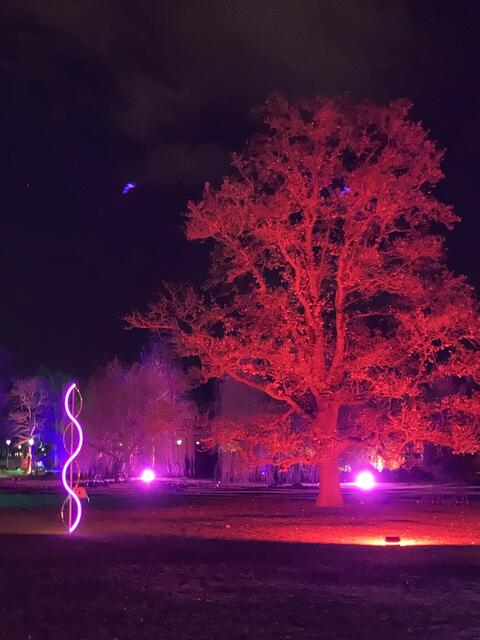 Die Winterlichter im Luisenpark finden vom 1. Januar bis 2. Februar 2025 statt. 

Update: Die Winterlichter im Luisenpark wurden um zwei Wochen bis zum Sonntag, 16. Februar 2025 verlängert.
 | Foto: Anouar Touir