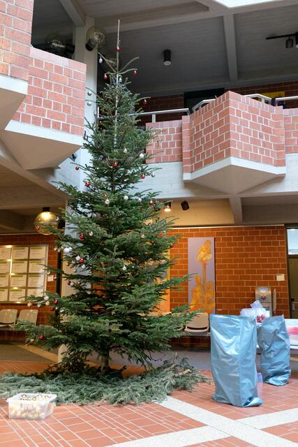 Auch der Weihnachtsbaum im Kreishaus der Südlichen Weinstraße wird derzeit abgeschmückt | Foto: KV SÜW
