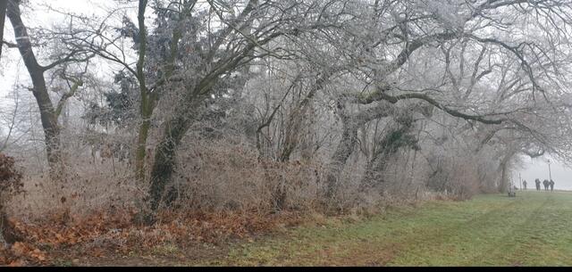 Foto: Karin Bandomir