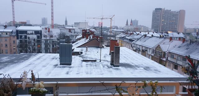 Foto: Karin Bandomir