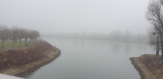 Foto: Karin Bandomir