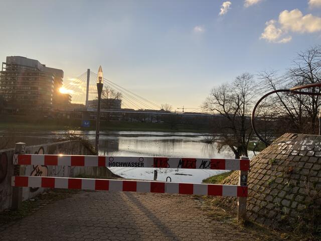 Pegelstand des Neckars bei Mannheim am 11. Januar 2025: ca. 495 cm | Foto: Anouar Touir