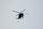 Polizeihubschrauber Symbolbild | Foto: CarloEmanuele/stock.adobe.com