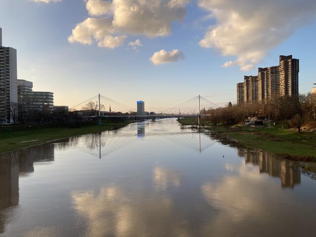 Pegelstand des Neckars bei Mannheim am 11. Januar 2025: ca. 495 cm | Foto: Anouar Touir