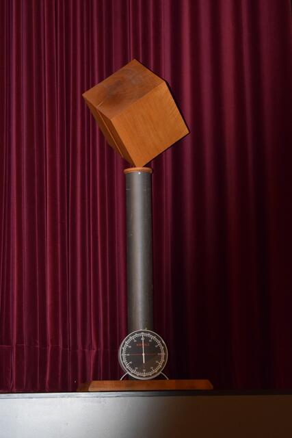 Eine solche Menge Holz wächst in einer Minute im Stadtwald von Annweiler | Foto: Jürgen Bender