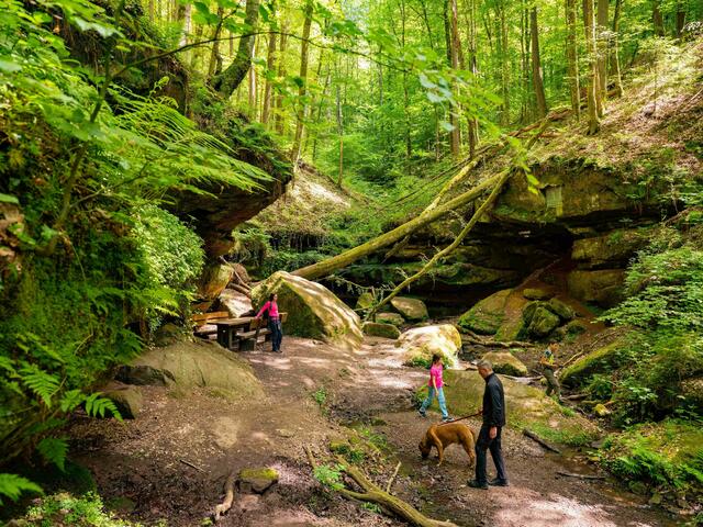 Im Pfälzerwald: der Premiumwanderweg „Hexenklamm“ | Foto: Stadt Pirmasens / Sebastian Fachenbach