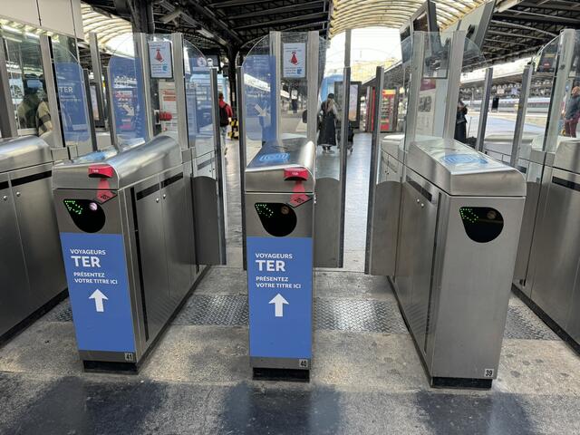 Foto: copyright Mechthilde Gairing