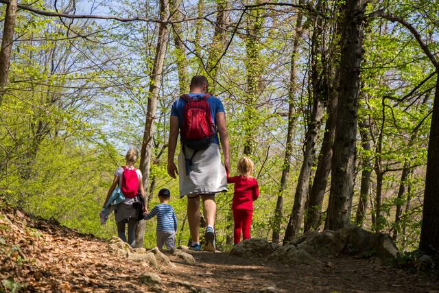 Wandern ist etwas für die ganze Familie, propagiert der Pfälzerwald-Verein | Foto: smuki/stock.adobe.com