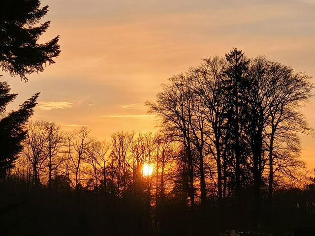 Der Pfälzerwald im Sonnenuntergang - bei Johanniskreuz | Foto: Markus Pacher