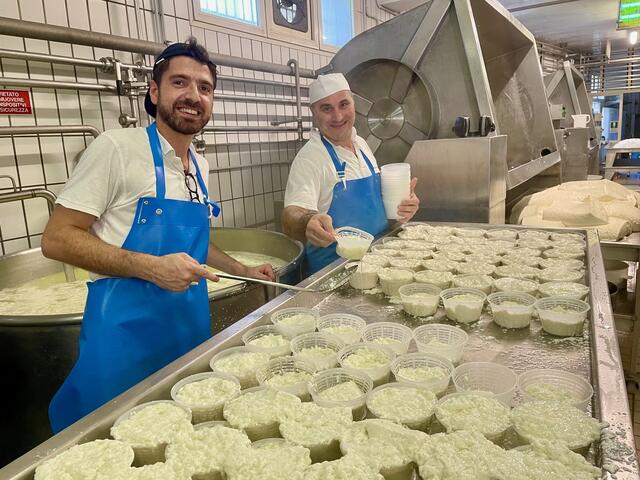 Alles in Handarbeit: In der kleinen Käserei der Familie Amato in den Monti Lattari wird gekocht, geknetet und geformt. Daraus entstehen Mozzarella und Ricotta – Frischkäse-Spezialitäten mit einem eigentümlichen cremigen Charakter.   | Foto: Daniel Basler