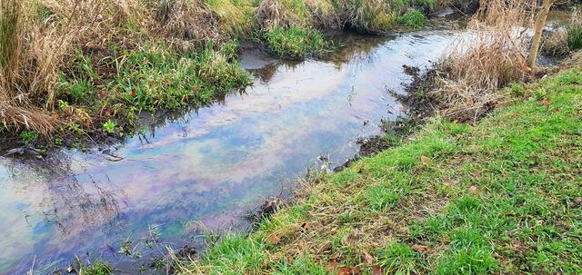 Im Landwehrgraben wurde eine starke Ölverschmutzung im Gewässer festgestellt. | Foto: Feuerwehr Haßloch
