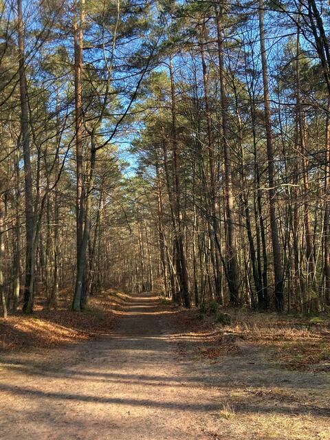 Unterwegs | Foto: Ich