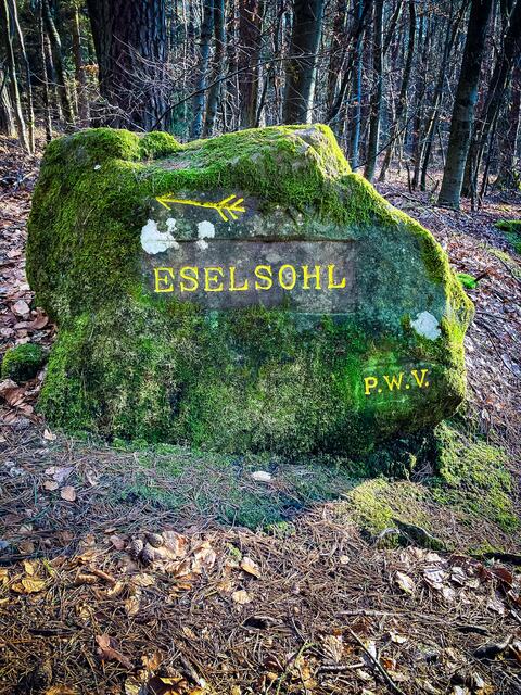 Eine leichte, etwa fünf Kilometer lange Wanderung führt vom Parkplatz Eselsohl an der K38 zwischen Weidenthal und dem Forsthaus Schwarzsohl an gleich vier Rittersteinen vorbei zum Atlasfelsen | Foto: Cornelia Bauer
