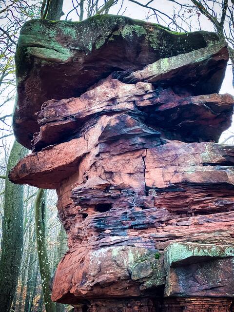 Foto: Cornelia Bauer