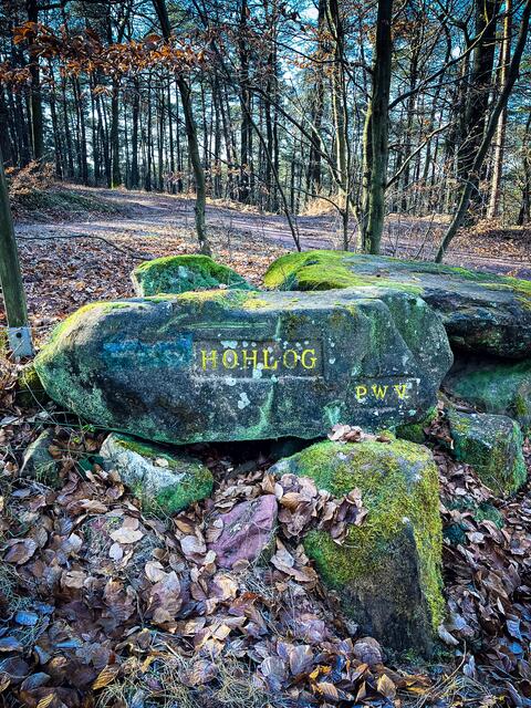 Dieser Ritterstein weist auf eine frühere Grenzlinie - Loog- auf diesem hohen Bergkamm hin. Nur wenige hundert Meter vom Ritterstein Hohlog entfernt, findet man den Atlasfelsen.  | Foto: Cornelia Bauer