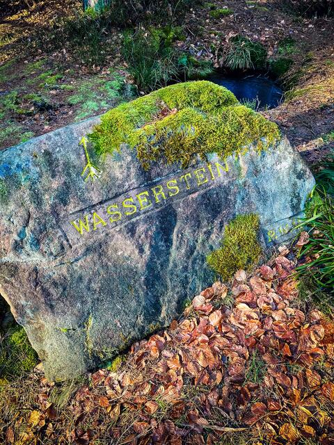 Unmittelbar neben dem Ritterstein mit der Nummer 151 sind mehrere Wassersteine zu finden, in denen sich das Regenwasser sammelt | Foto: Cornelia Bauer