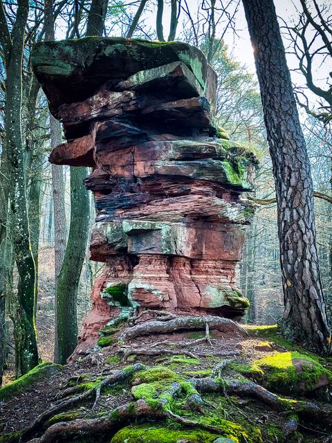 Imposanter Fels mitten im Wald | Foto: Cornelia Bauer