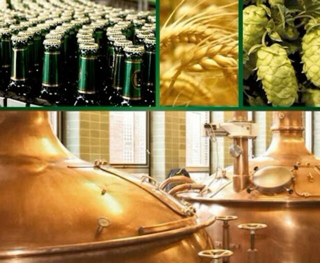 Einladung zur Brauereibesichtigung mit dem Verein für Heimatgeschichte und -kultur Dudenhofen e.V. bei der BELLHEIMER Brauerei am 27.02.2025 | Foto: www.bellheimer.de - Repro: cke