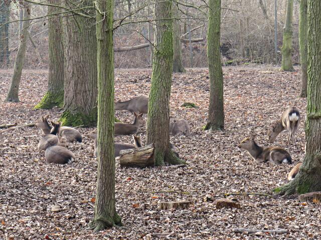 Foto: Brigitte Melder