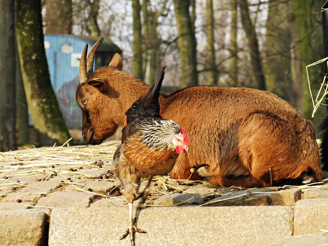 Foto: Brigitte Melder