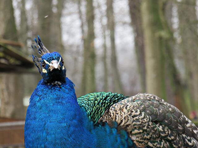 Foto: Brigitte Melder
