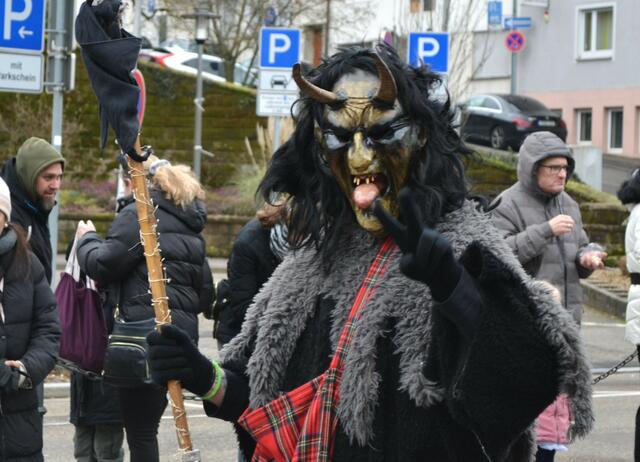 Faschingsumzug Pirmasens 2025 | Foto: Frank Schäfer