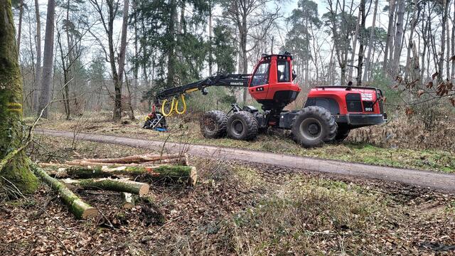 Holzvollernter im Bienwald | Foto: Andrea Abt