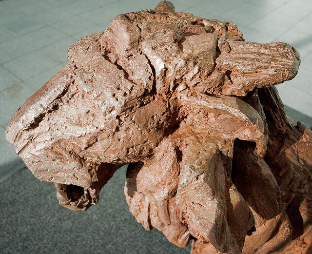 Foto: Michael Bartholomaeus