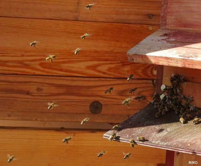 Zoo Karlsruhe | Foto: Marlene Deck