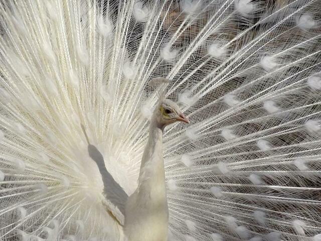 Zoo Karlsruhe | Foto: Marlene Deck