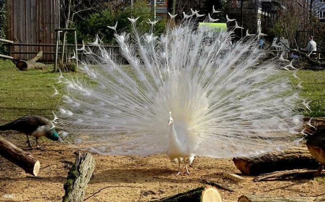 Zoo Karlsruhe | Foto: Marlene Deck