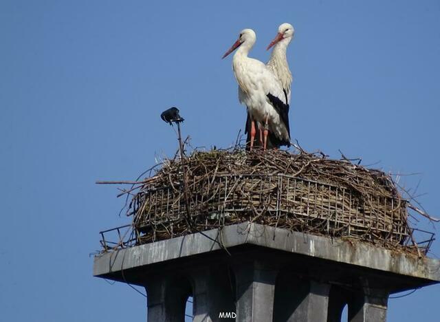 Zoo Karlsruhe | Foto: Marlene Deck